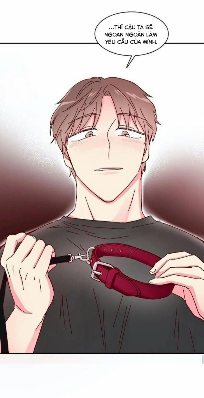 Món Tráng Miệng Của Sếp Tổng 11 trang 30