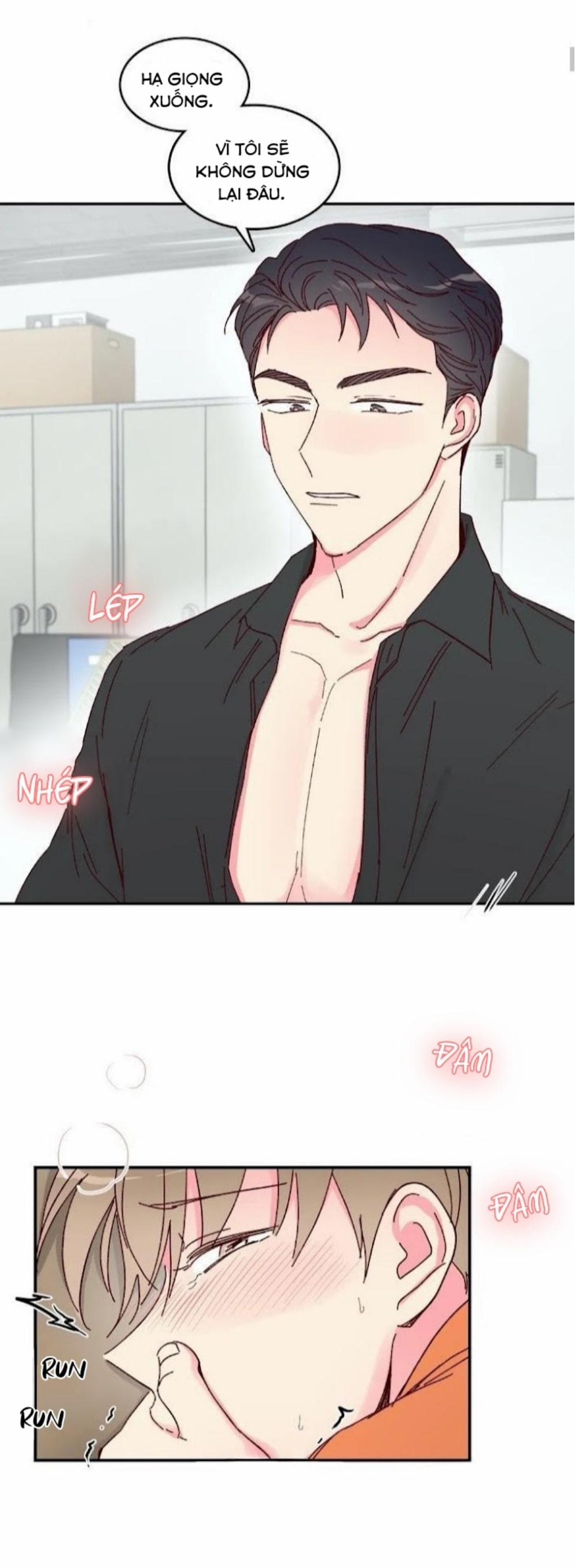 Món Tráng Miệng Của Sếp Tổng 11 trang 5