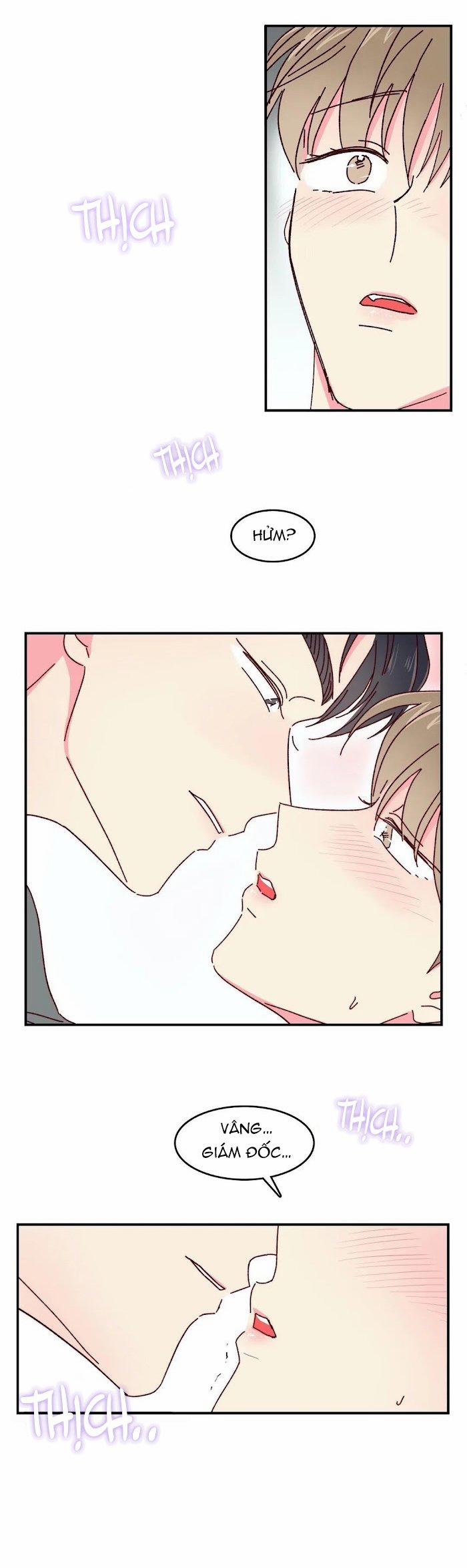 Món Tráng Miệng Của Sếp Tổng 13 trang 11
