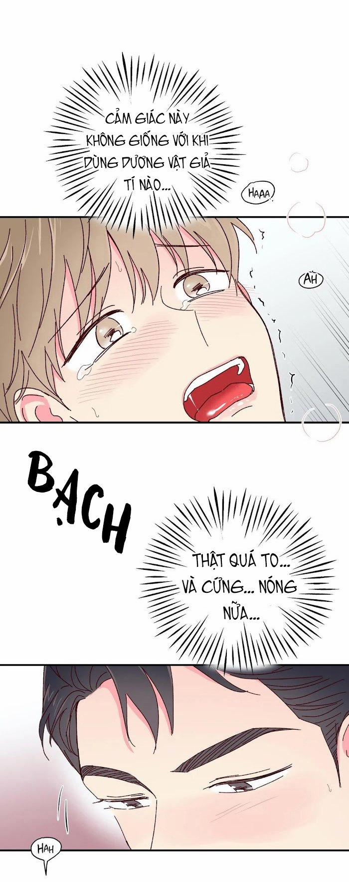 Món Tráng Miệng Của Sếp Tổng 14 trang 17
