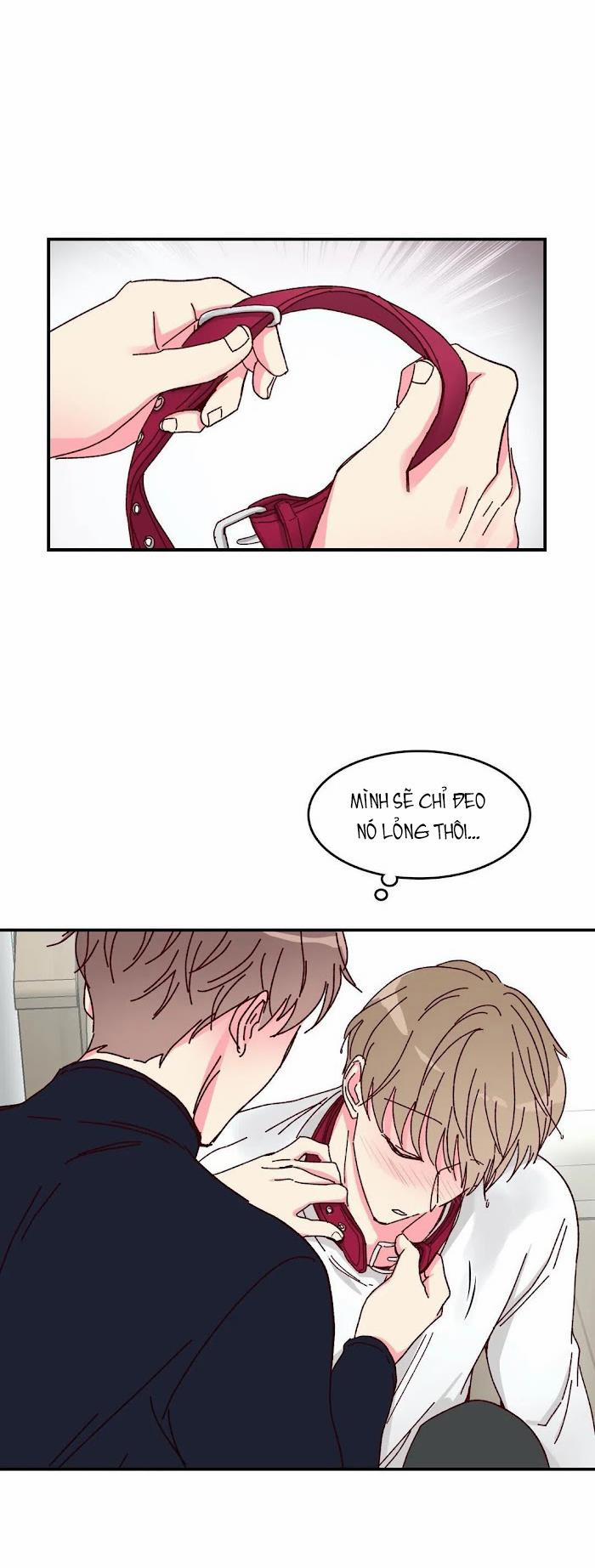 Món Tráng Miệng Của Sếp Tổng 15.5 trang 23
