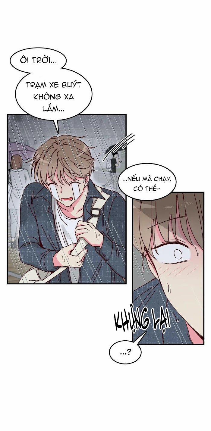 Món Tráng Miệng Của Sếp Tổng 15 trang 19