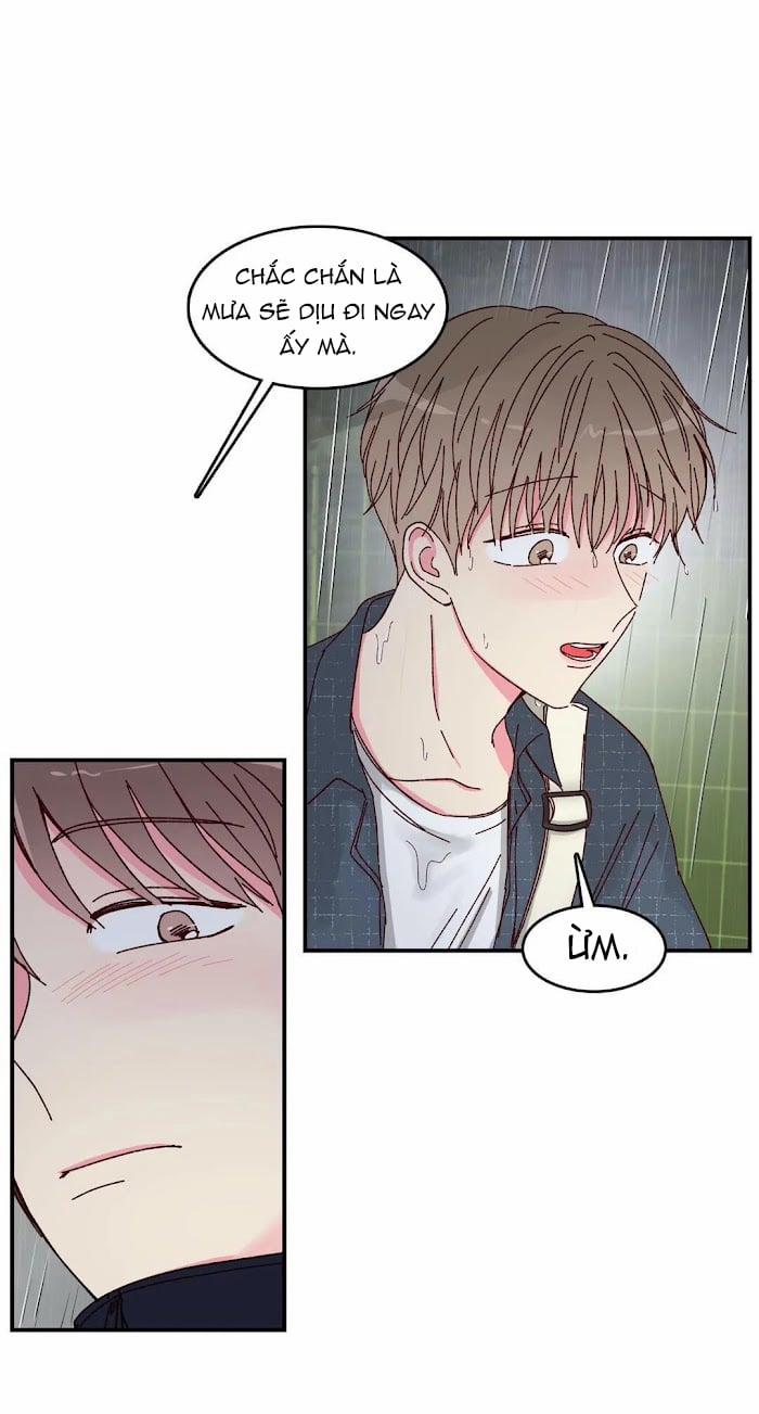Món Tráng Miệng Của Sếp Tổng 15 trang 23