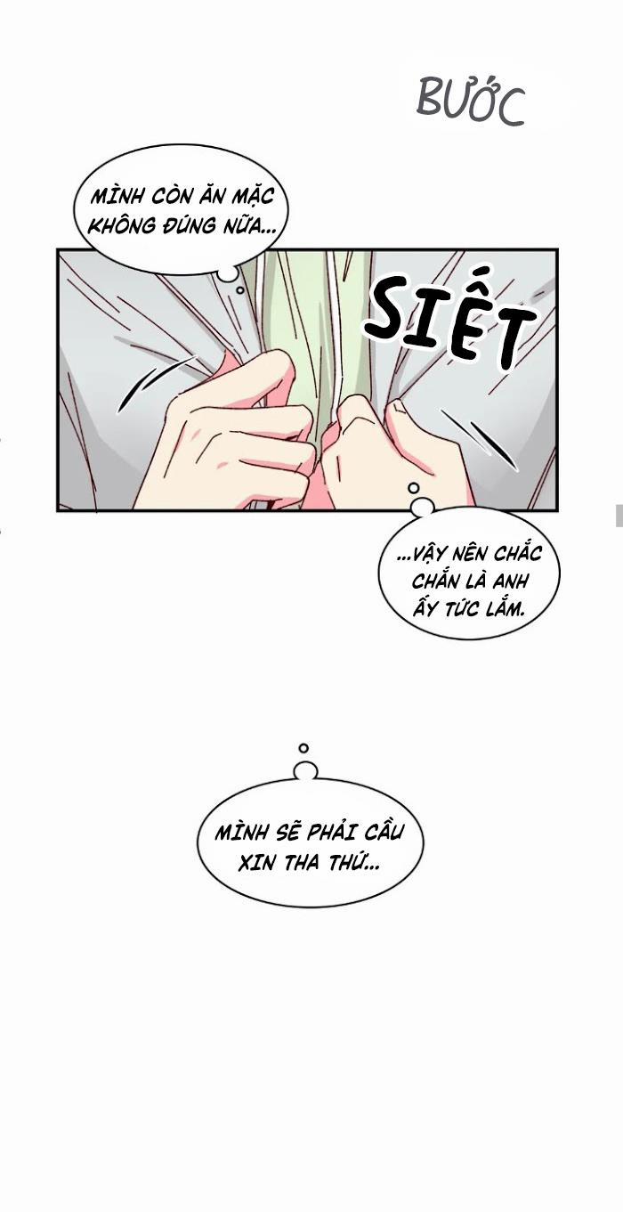 Món Tráng Miệng Của Sếp Tổng 17.5 trang 6