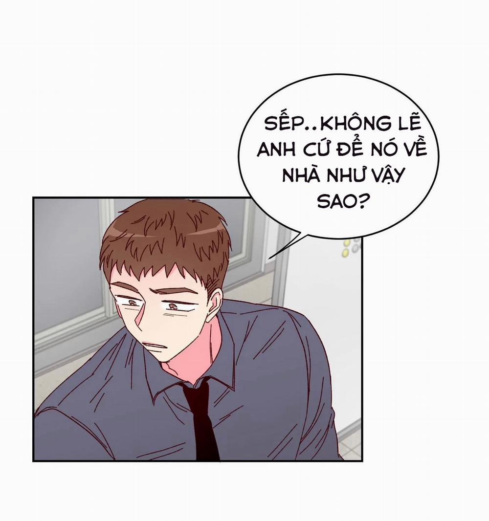 Món Tráng Miệng Của Sếp Tổng 2 trang 14
