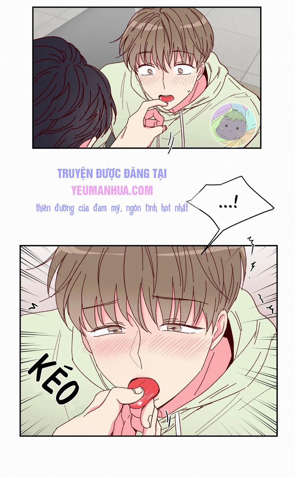 Món Tráng Miệng Của Sếp Tổng 2 trang 51