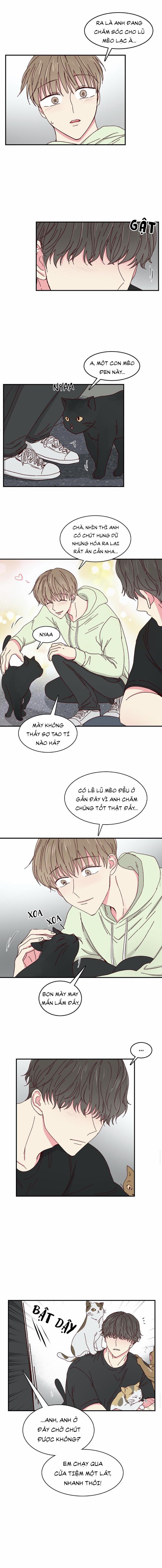 Món Tráng Miệng Của Sếp Tổng 22 trang 3