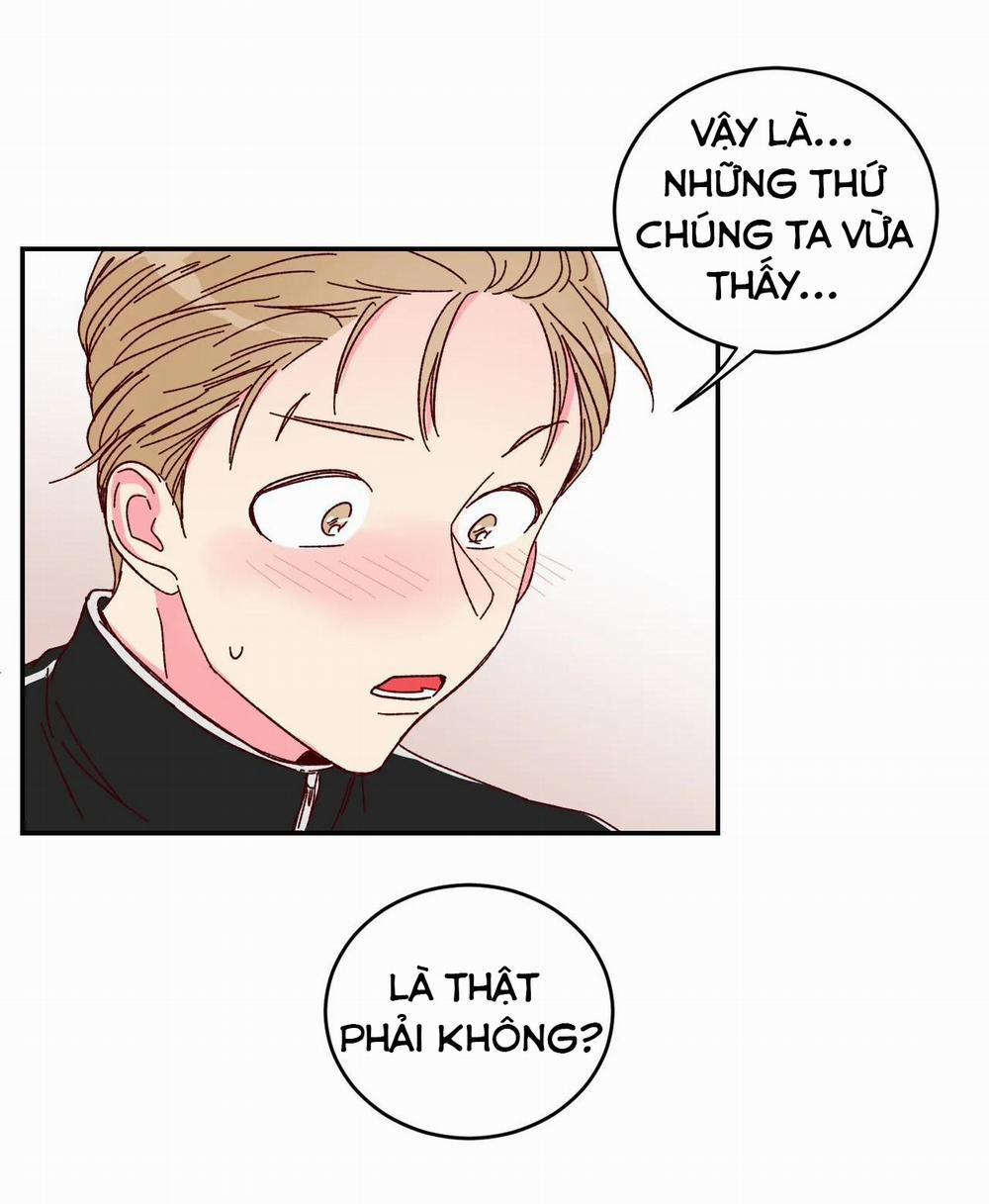 Món Tráng Miệng Của Sếp Tổng 3 trang 34