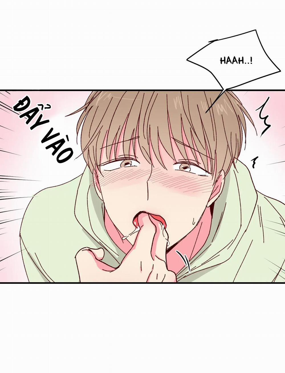 Món Tráng Miệng Của Sếp Tổng 3 trang 7