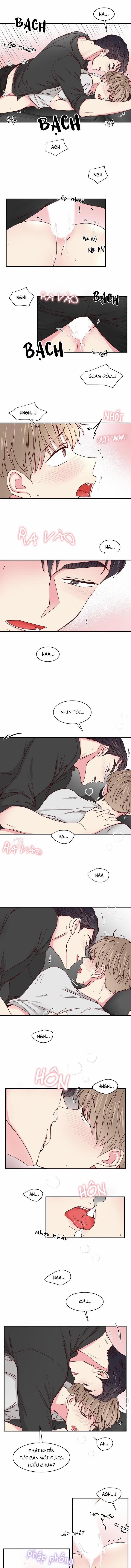 Món Tráng Miệng Của Sếp Tổng 35 trang 4