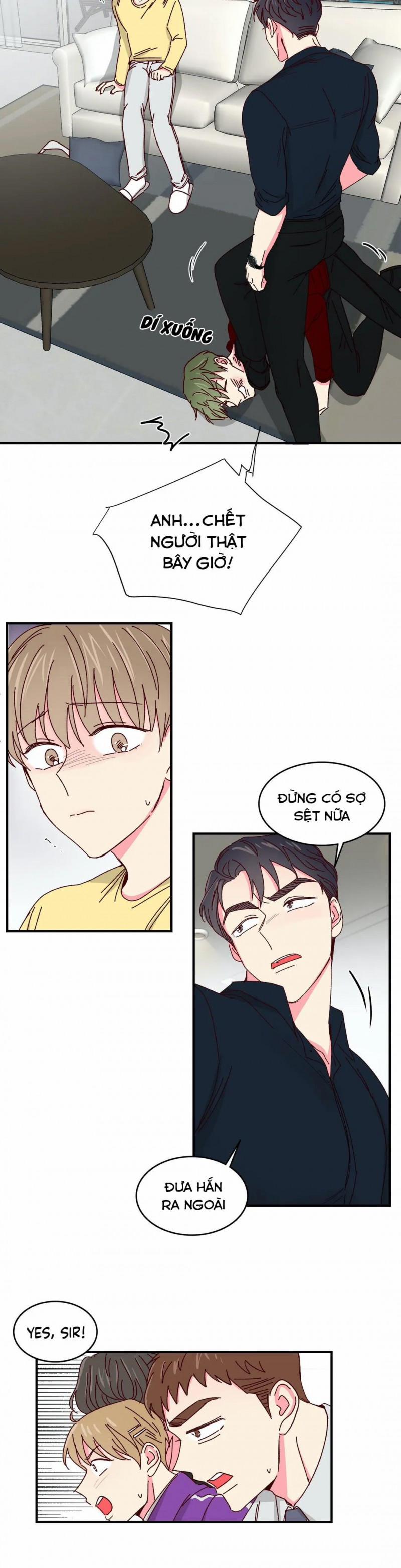 Món Tráng Miệng Của Sếp Tổng 38 trang 20