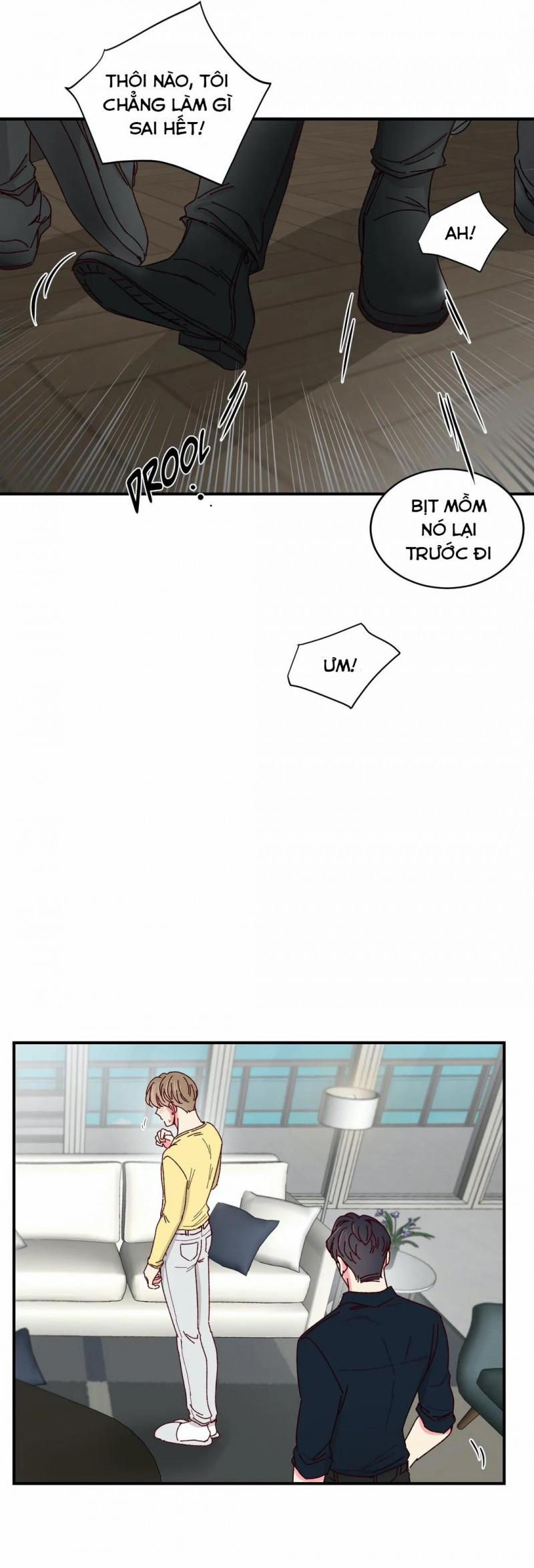 Món Tráng Miệng Của Sếp Tổng 38 trang 21