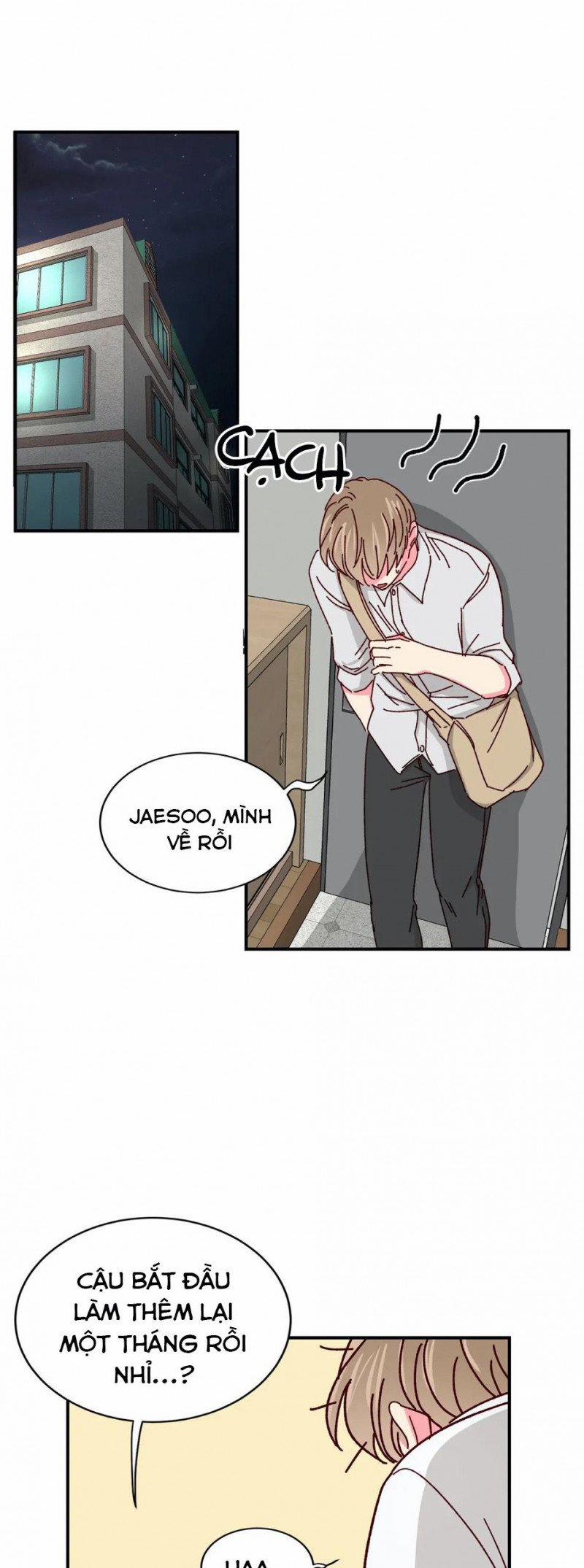 Món Tráng Miệng Của Sếp Tổng 39 trang 10