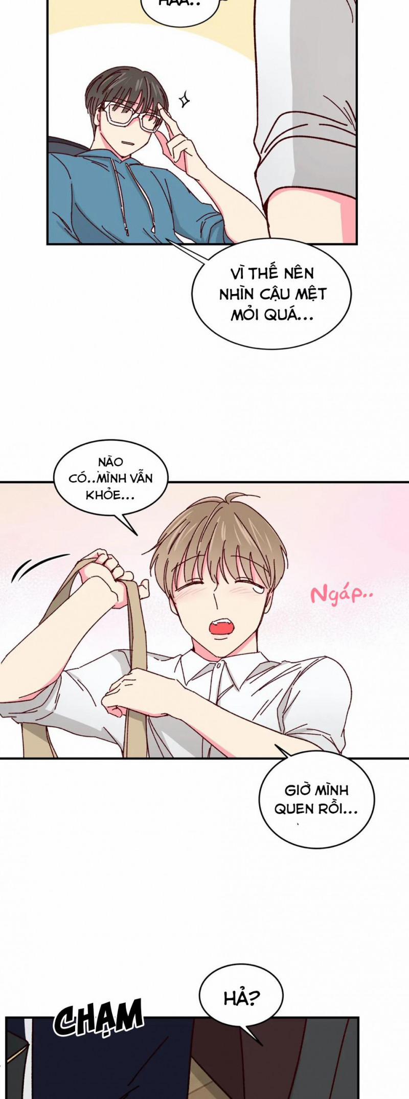 Món Tráng Miệng Của Sếp Tổng 39 trang 11