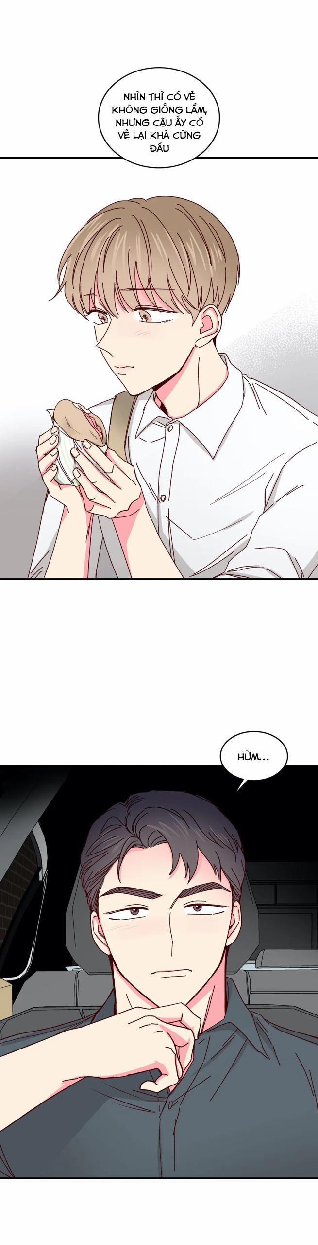 Món Tráng Miệng Của Sếp Tổng 39 trang 6