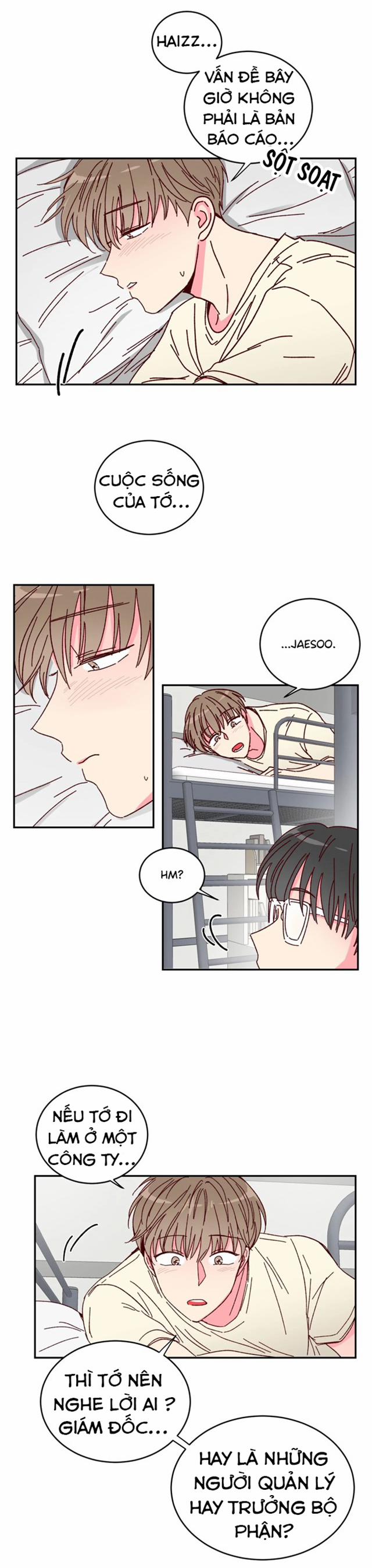 Món Tráng Miệng Của Sếp Tổng 4 trang 12