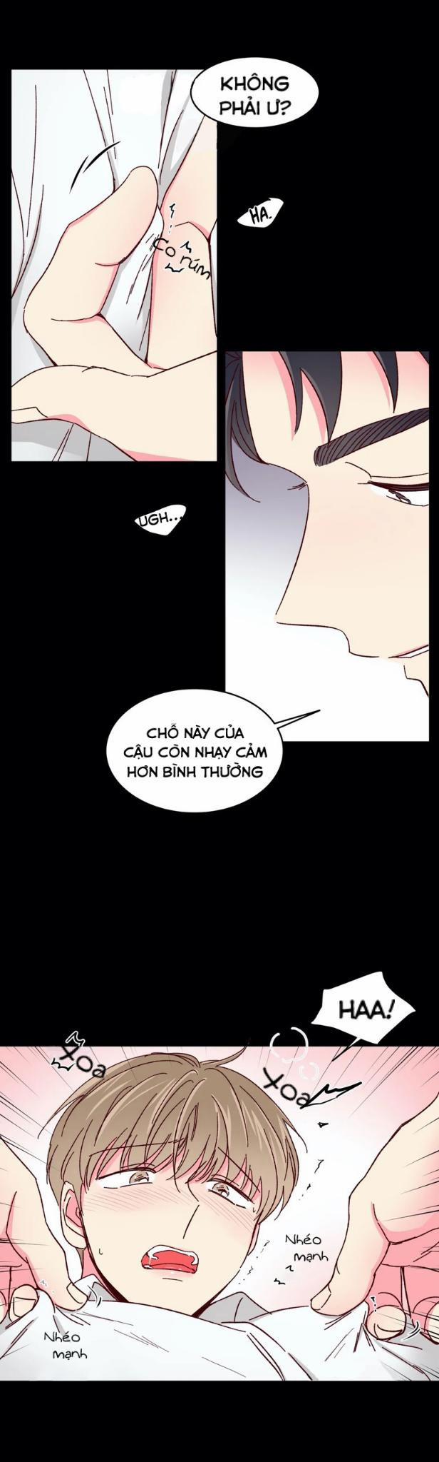 Món Tráng Miệng Của Sếp Tổng 40 trang 19