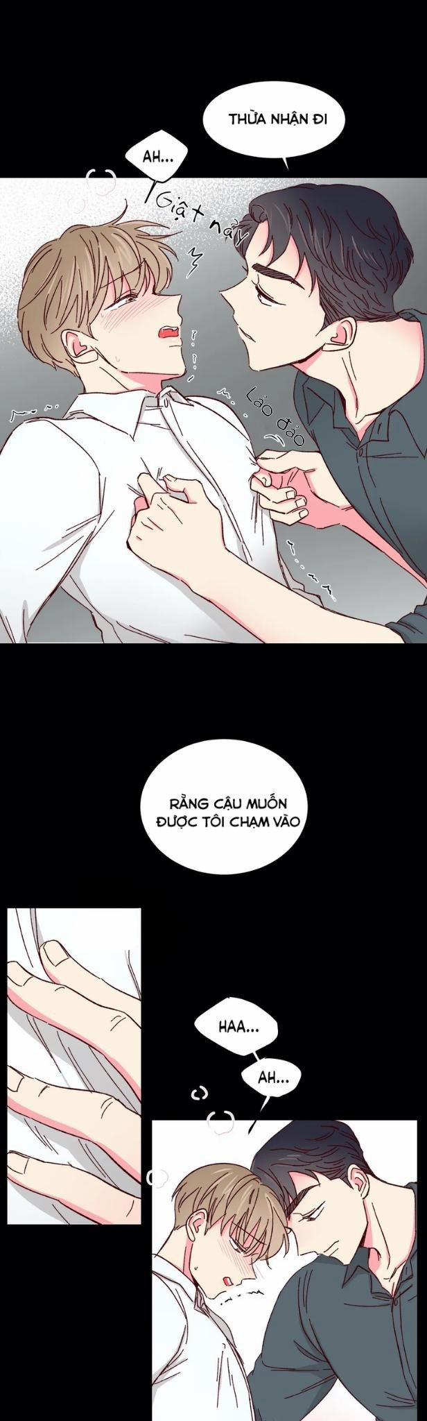 Món Tráng Miệng Của Sếp Tổng 40 trang 20