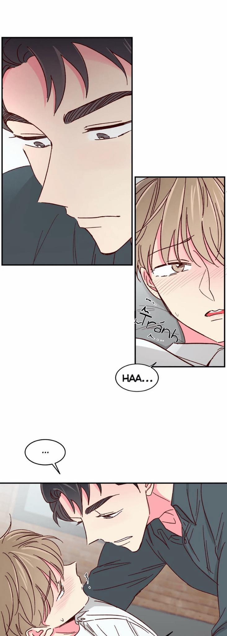 Món Tráng Miệng Của Sếp Tổng 40 trang 5