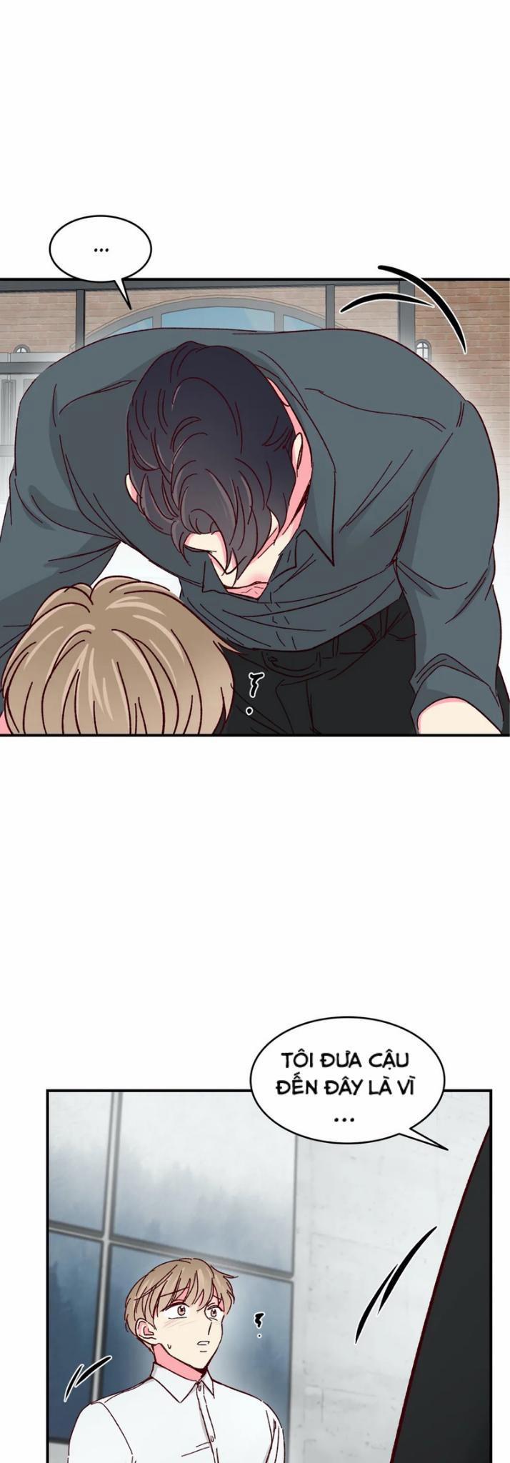 Món Tráng Miệng Của Sếp Tổng 40 trang 7