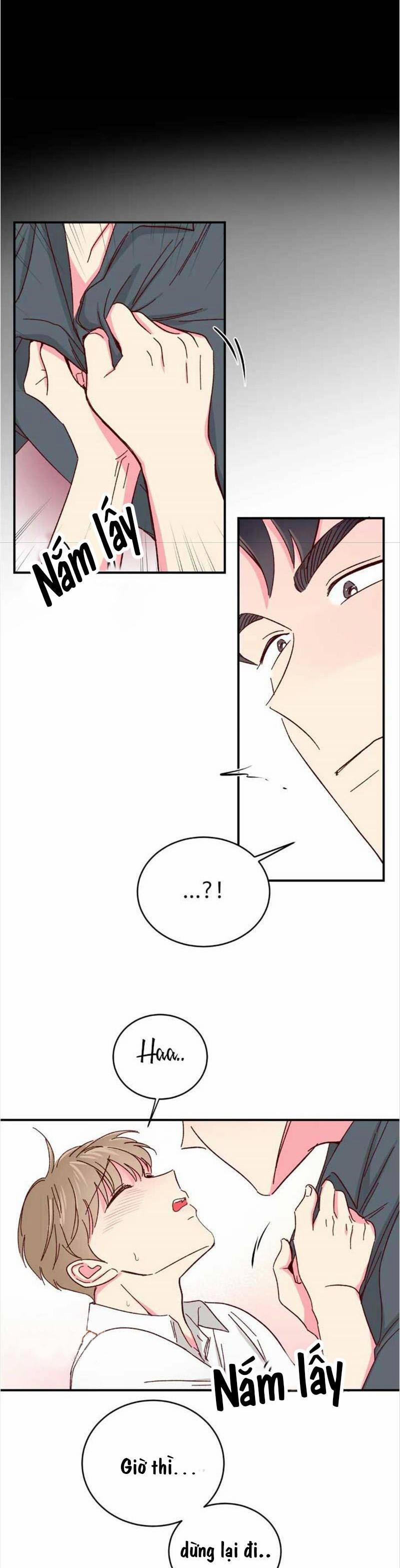 Món Tráng Miệng Của Sếp Tổng 41 trang 14