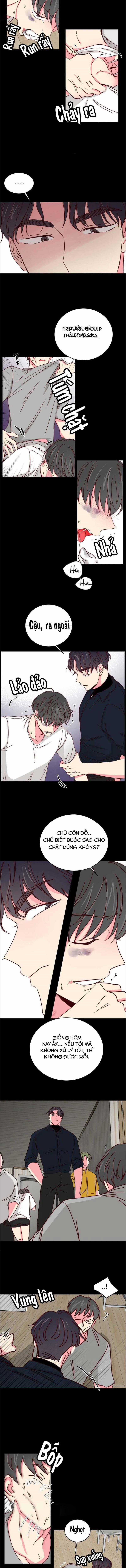 Món Tráng Miệng Của Sếp Tổng 42 trang 4