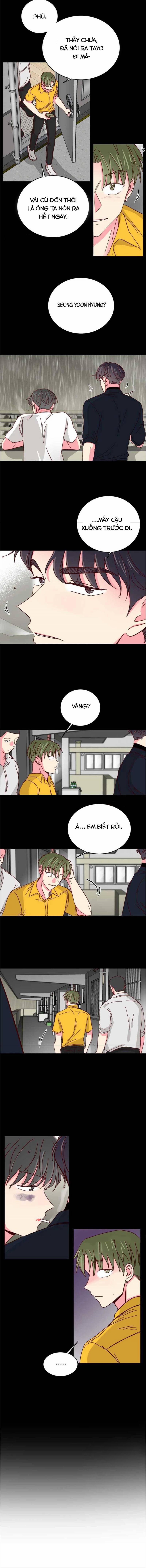 Món Tráng Miệng Của Sếp Tổng 42 trang 8