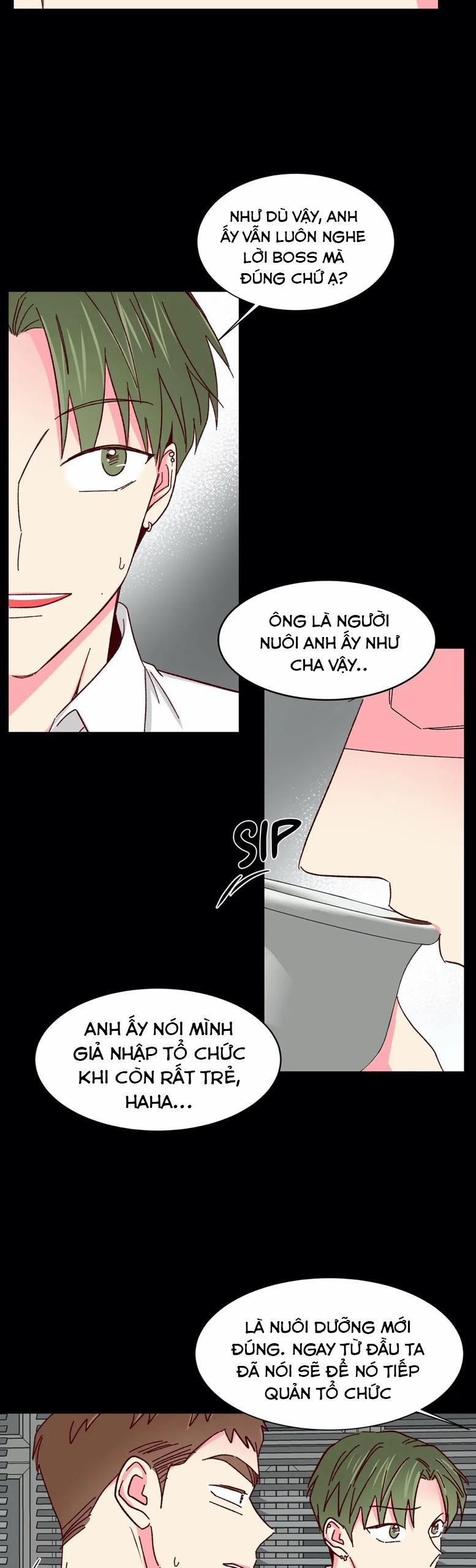 Món Tráng Miệng Của Sếp Tổng 43 trang 15
