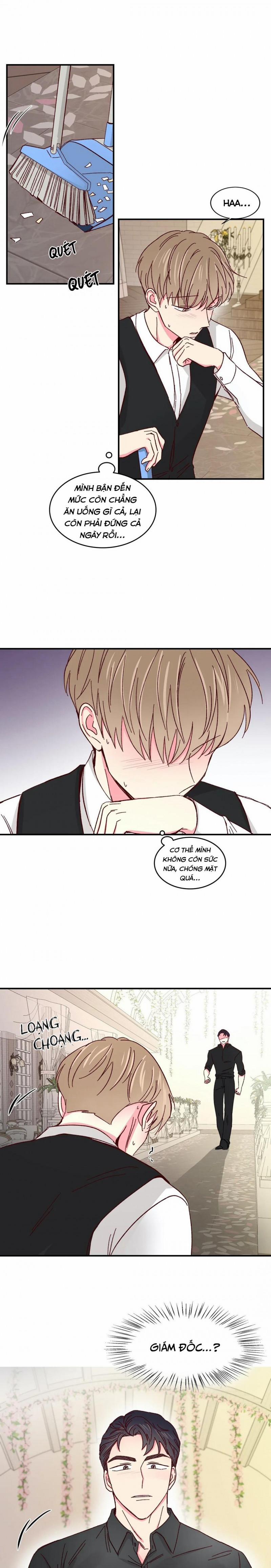 Món Tráng Miệng Của Sếp Tổng 44 trang 14