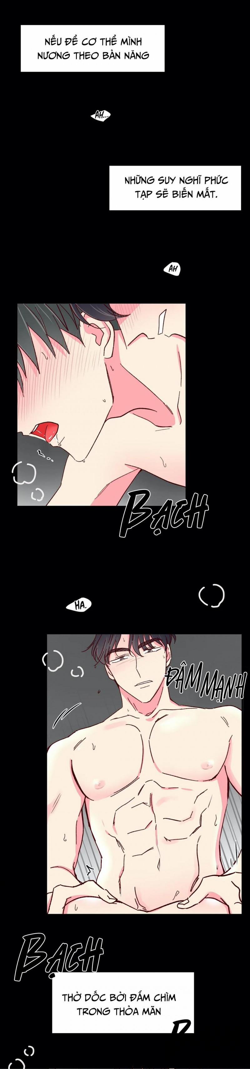 Món Tráng Miệng Của Sếp Tổng 44 trang 2