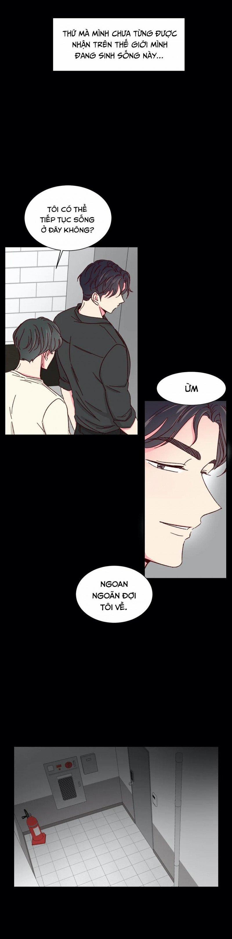 Món Tráng Miệng Của Sếp Tổng 44 trang 4