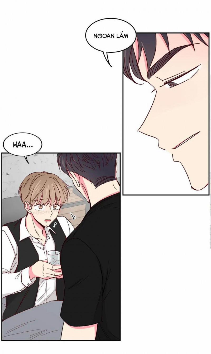 Món Tráng Miệng Của Sếp Tổng 45 trang 11