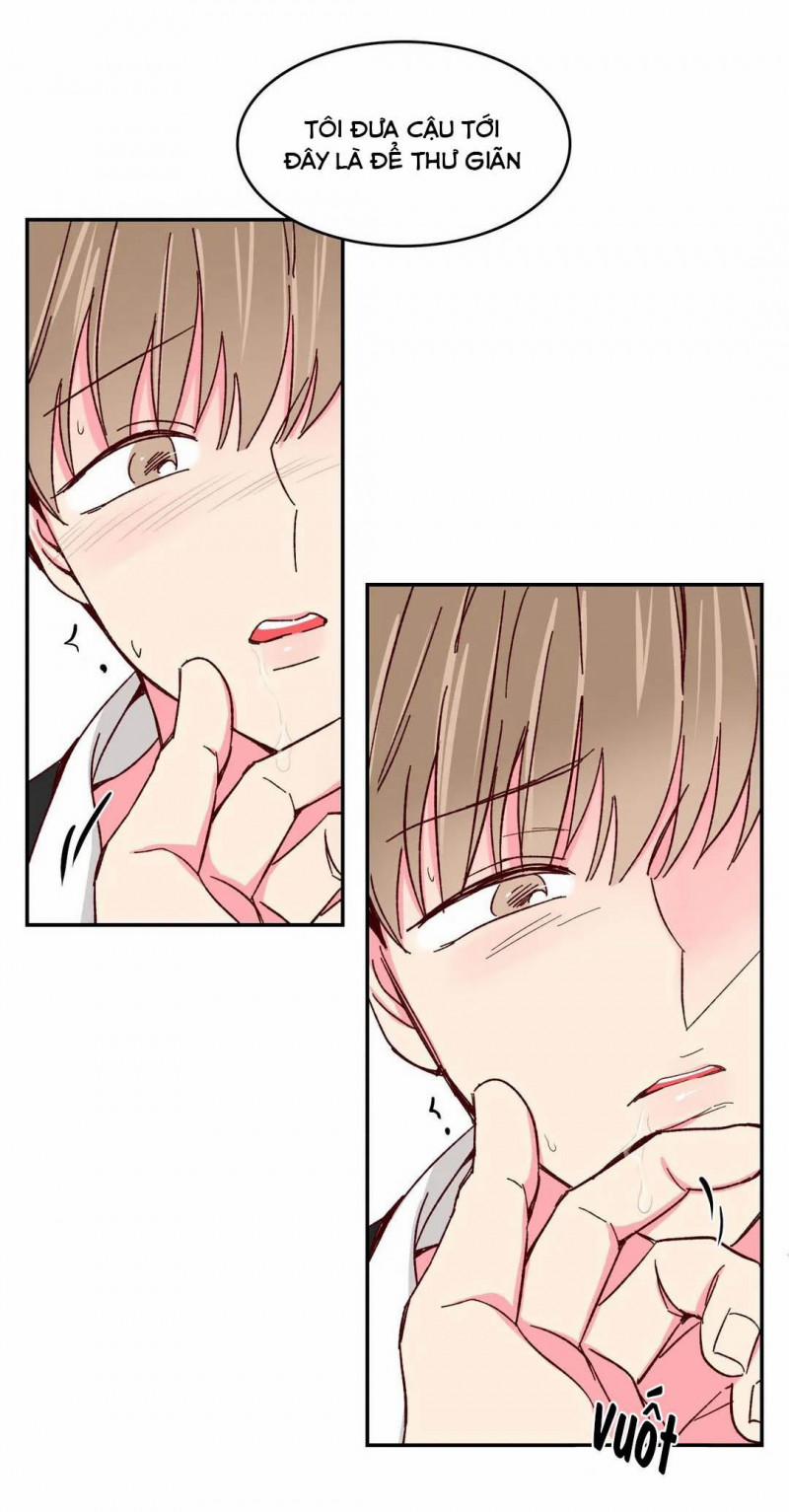 Món Tráng Miệng Của Sếp Tổng 45 trang 13