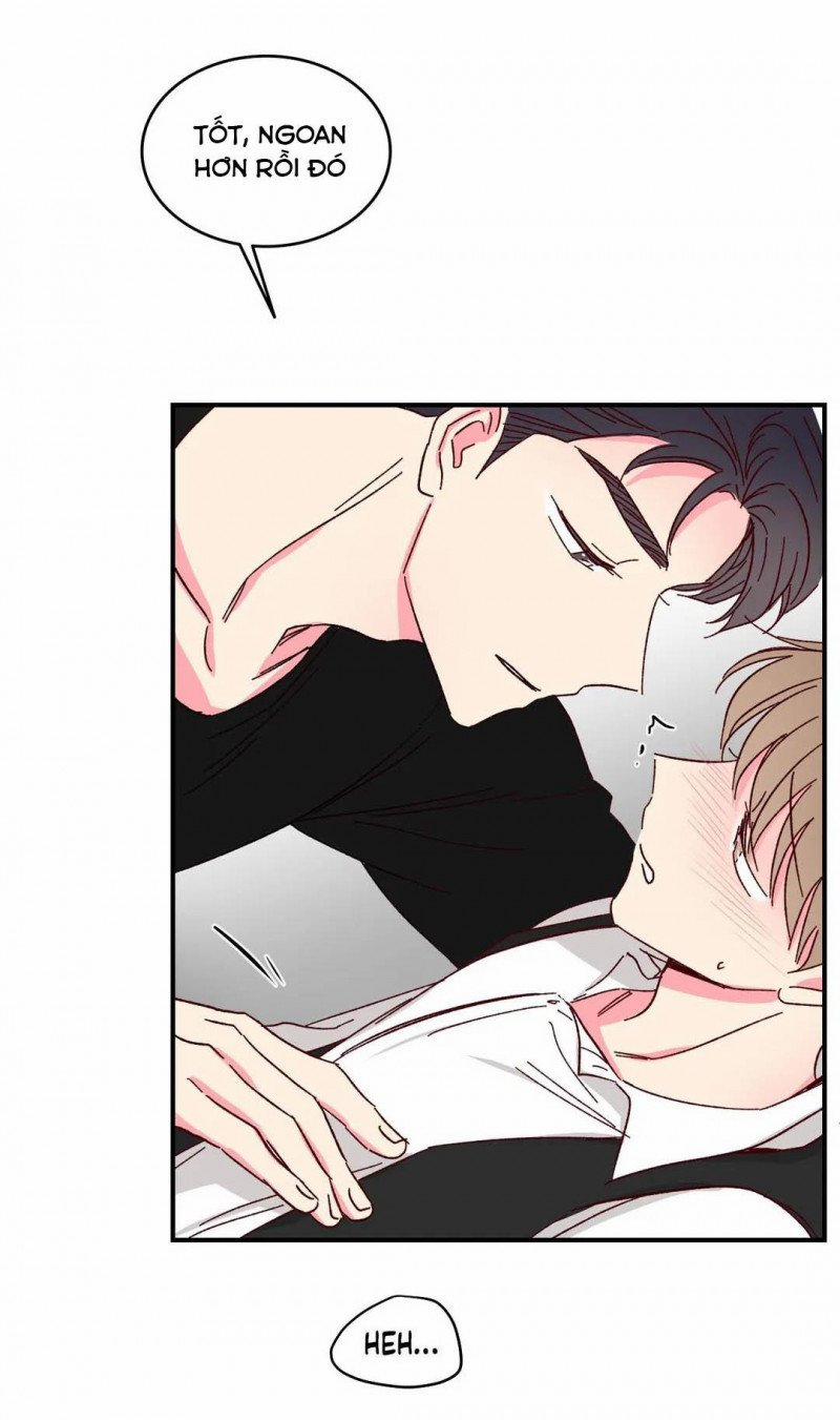 Món Tráng Miệng Của Sếp Tổng 45 trang 28