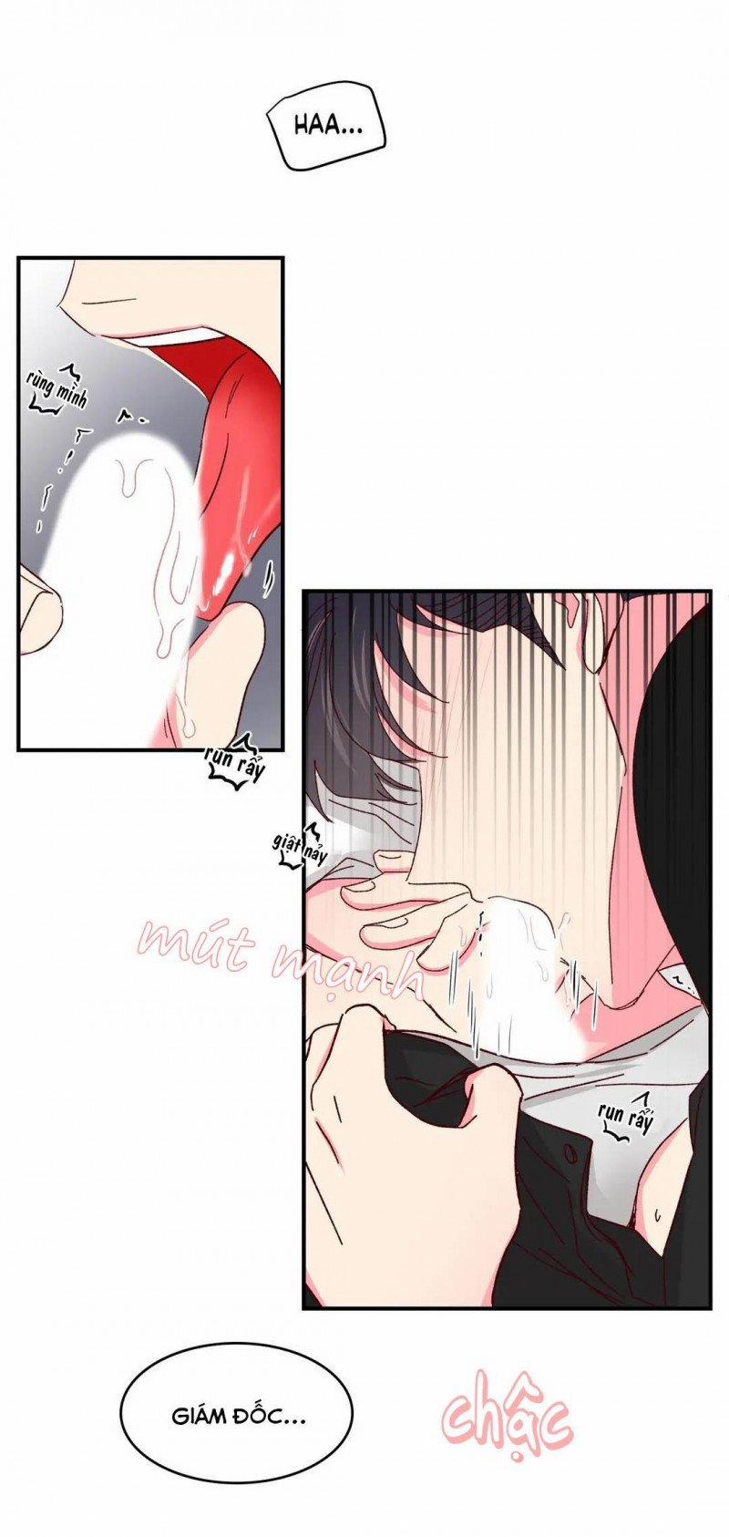 Món Tráng Miệng Của Sếp Tổng 45 trang 41