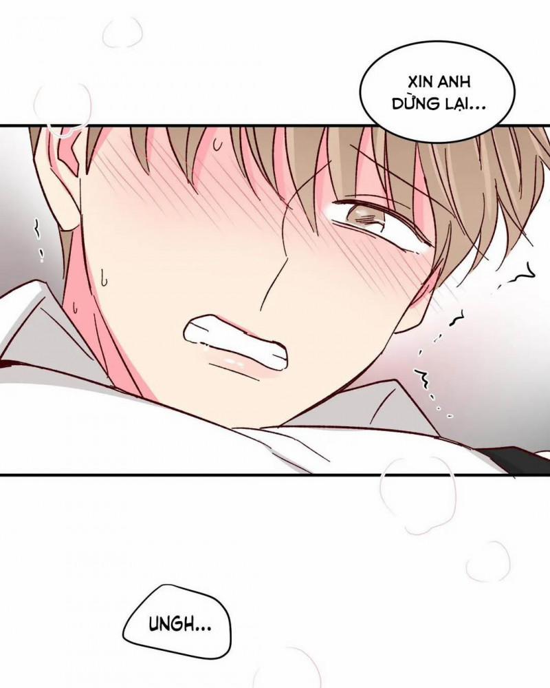 Món Tráng Miệng Của Sếp Tổng 45 trang 42