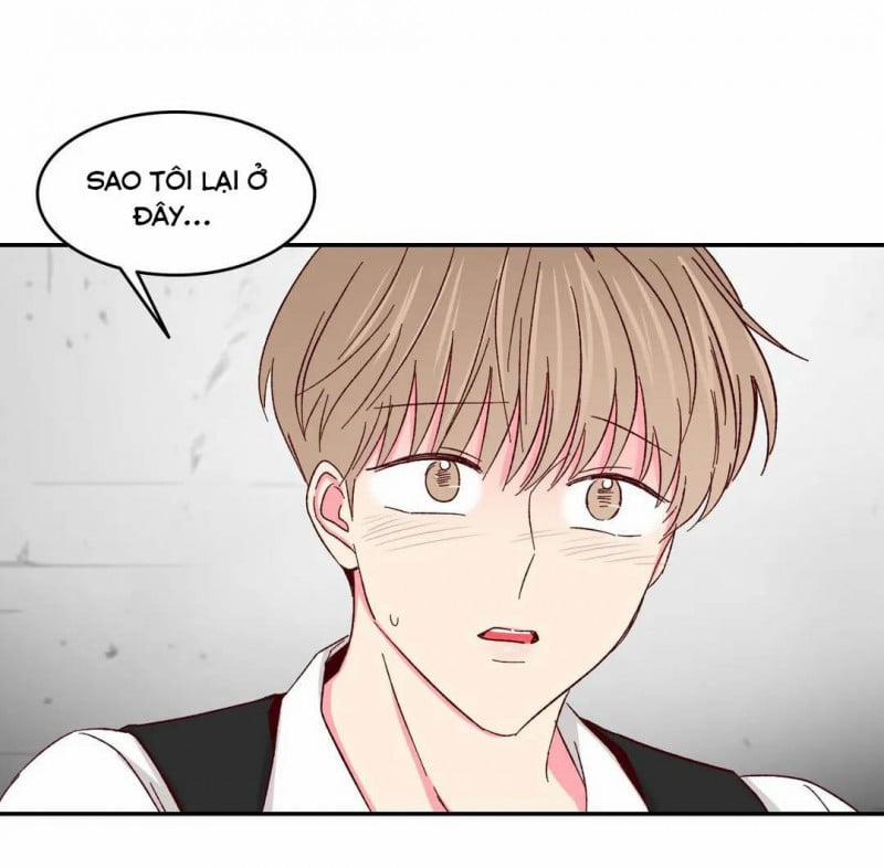 Món Tráng Miệng Của Sếp Tổng 45 trang 5