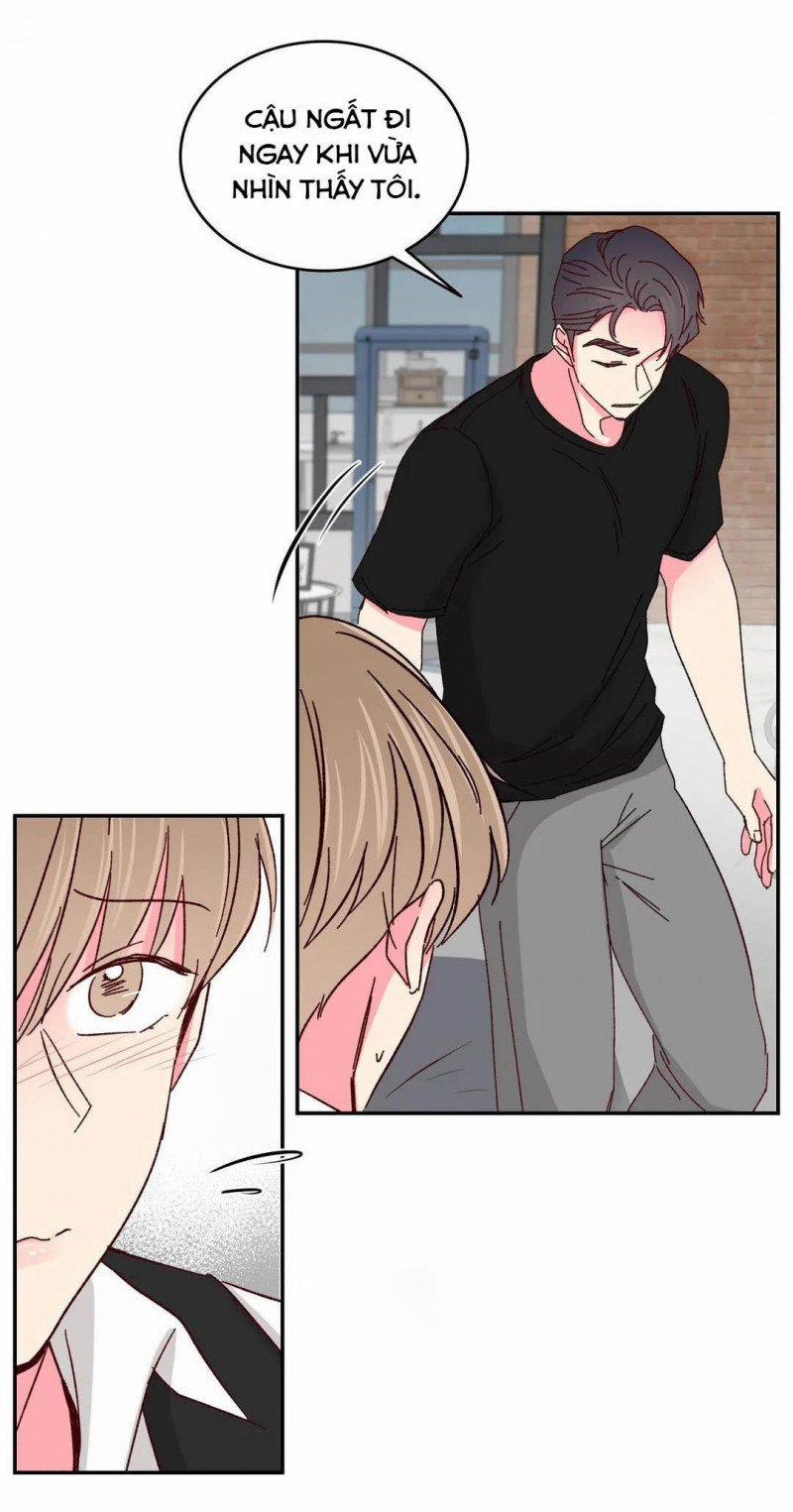 Món Tráng Miệng Của Sếp Tổng 45 trang 6