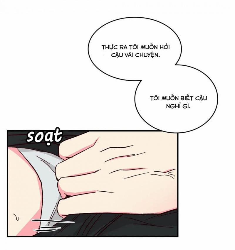 Món Tráng Miệng Của Sếp Tổng 46 trang 15