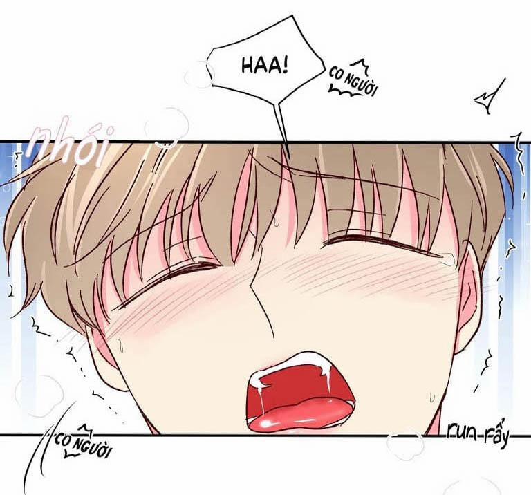 Món Tráng Miệng Của Sếp Tổng 46 trang 6