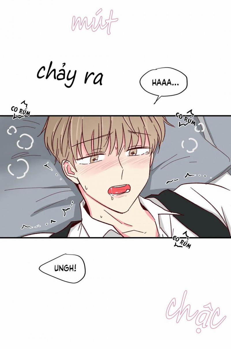 Món Tráng Miệng Của Sếp Tổng 46 trang 9