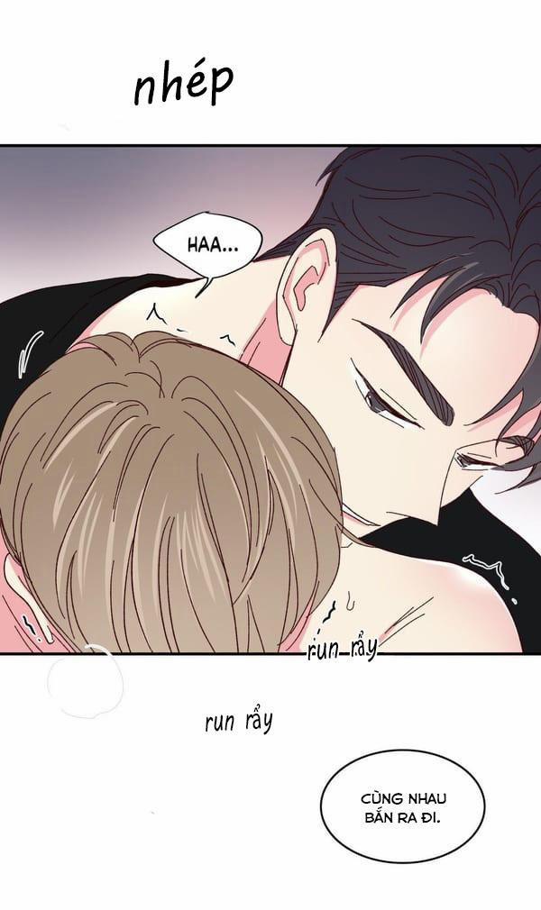 Món Tráng Miệng Của Sếp Tổng 47 trang 17