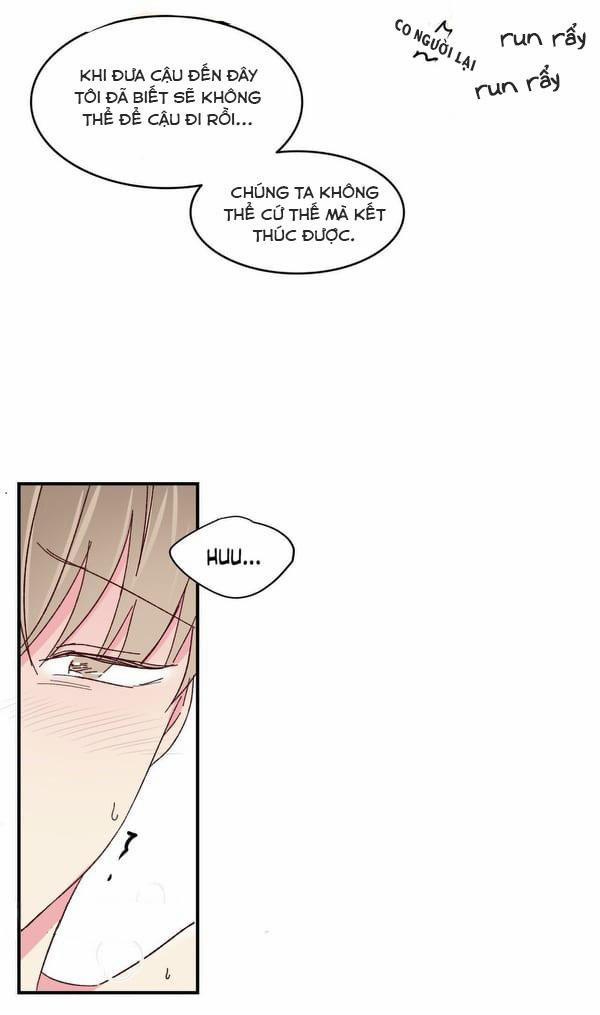 Món Tráng Miệng Của Sếp Tổng 47 trang 20