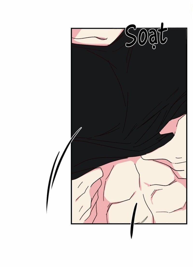 Món Tráng Miệng Của Sếp Tổng 47 trang 21