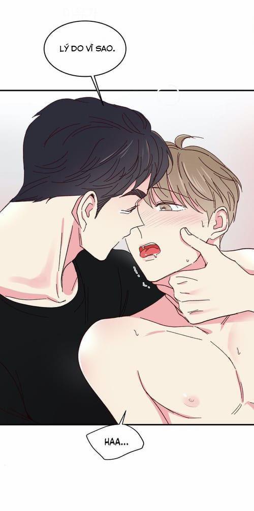 Món Tráng Miệng Của Sếp Tổng 47 trang 4