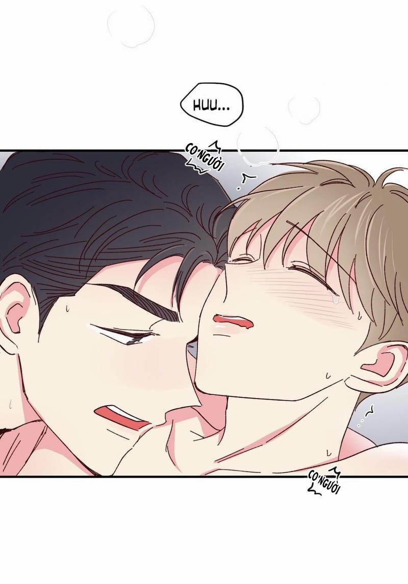 Món Tráng Miệng Của Sếp Tổng 47 trang 42