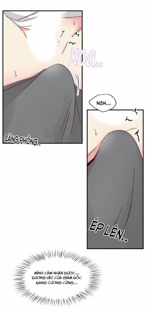 Món Tráng Miệng Của Sếp Tổng 47 trang 5