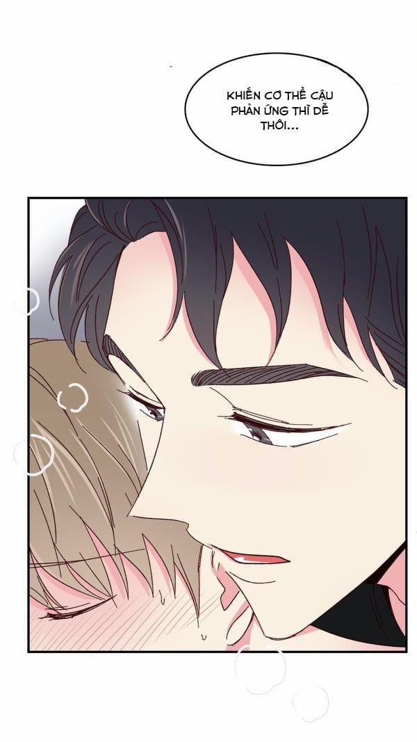 Món Tráng Miệng Của Sếp Tổng 47 trang 8