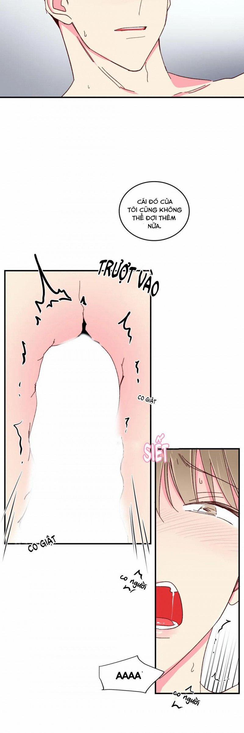 Món Tráng Miệng Của Sếp Tổng 48 trang 12