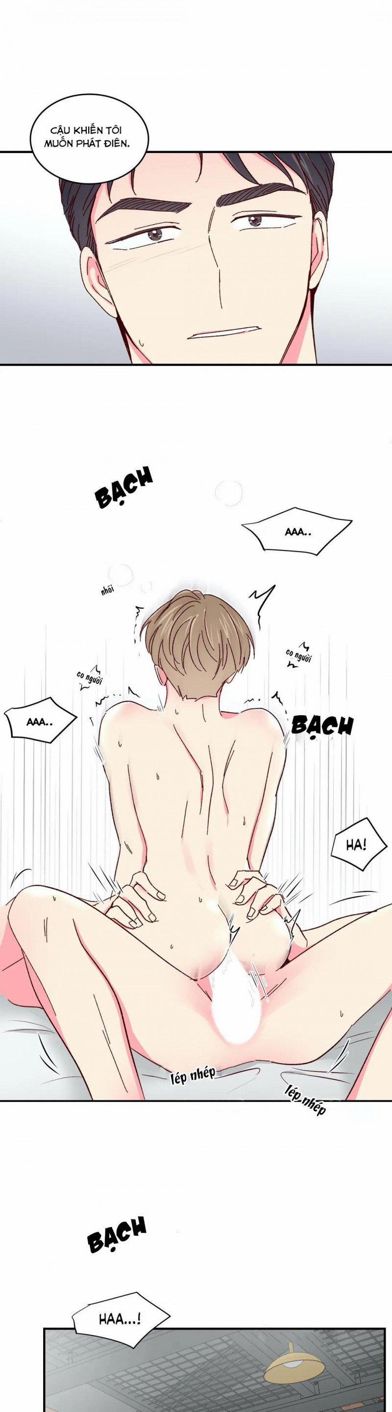 Món Tráng Miệng Của Sếp Tổng 48 trang 13